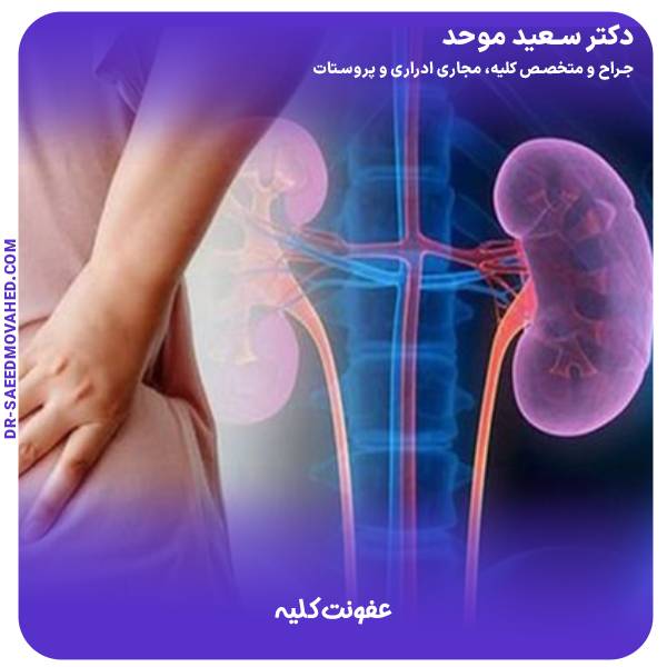 عفونت کلیه