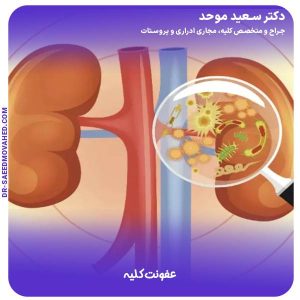 عفونت کلیه