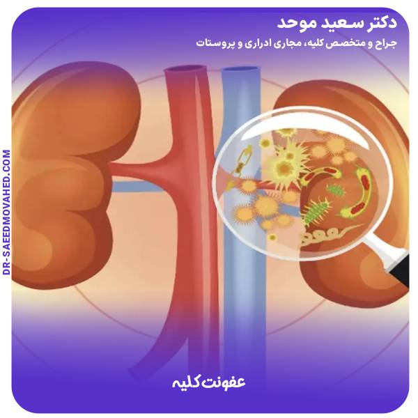 عفونت کلیه